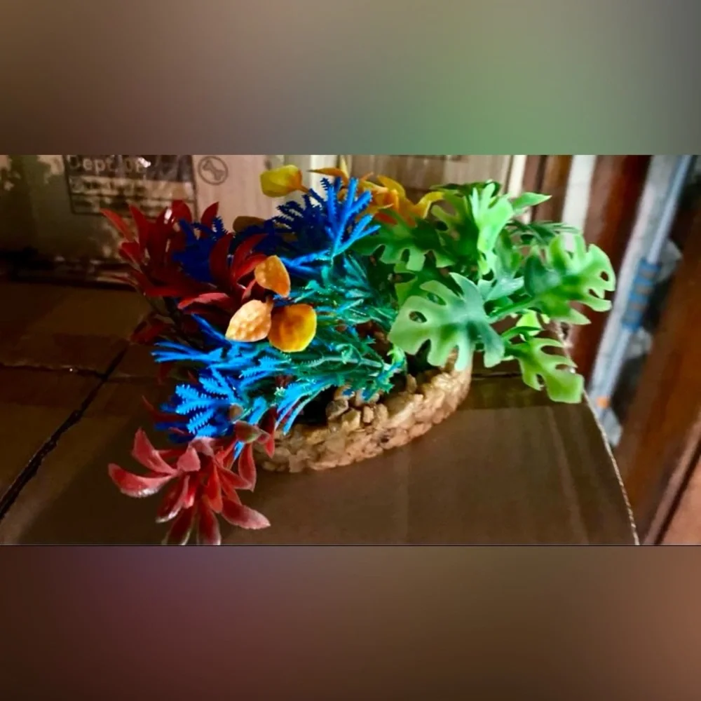 COPY - Aquarium plants bundle of 4
